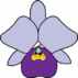 Blue Mountains & Penrith Districts Orchid Society Inc.